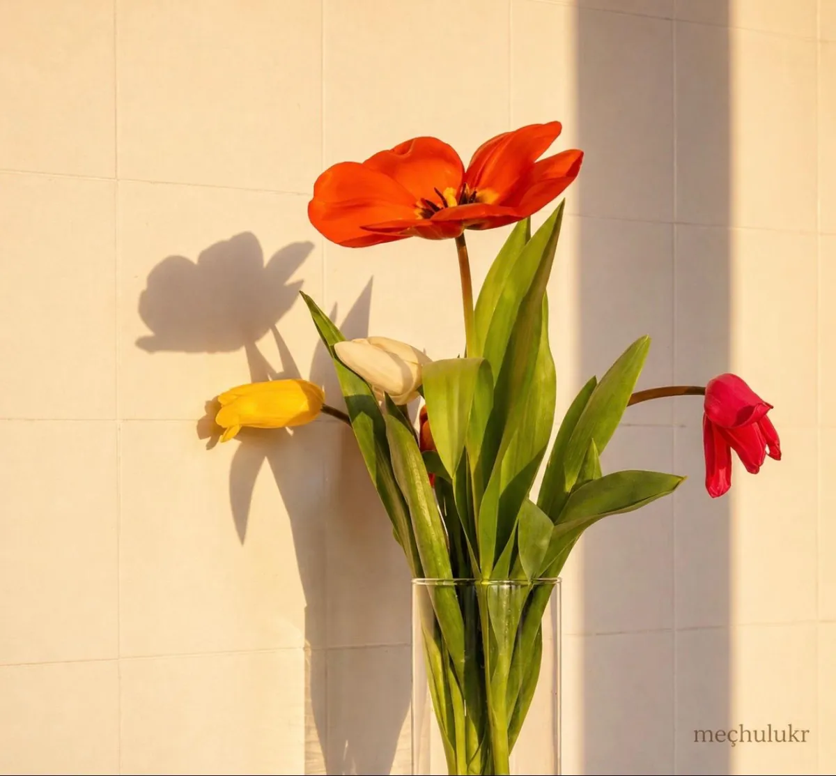 Sebebini Anlatamadığım Gülüş